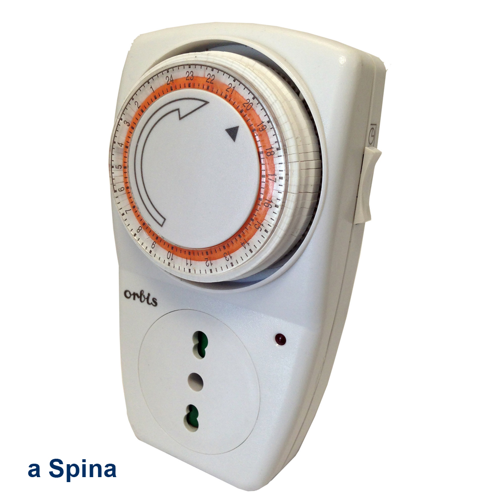 A spina